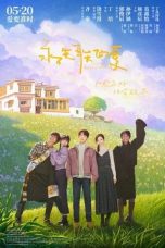 Nonton film Everlasting Love (2025)