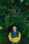 Nonton film Soft Leaves (2025)