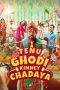 Nonton film Tenu Ghodi Kinney Chadaya (2025)